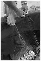 Close-up of hands and feet of man mending net. Da Nang, Vietnam (black and white)
