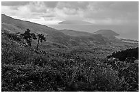 View from Hai Van pass in rainy weather, Bach Ma National Park. Vietnam (black and white)