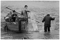 Men operating fish traps. Vietnam (black and white)