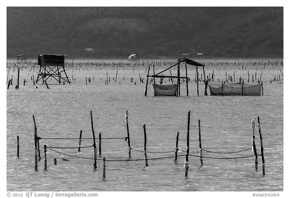 Pilings and fishing nets in lagoon. Vietnam (black and white)