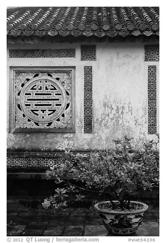 Potted plant and wall with Chinese symbol window, citadel. Hue, Vietnam (black and white)