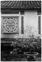 Potted plant and wall with Chinese symbol window, citadel. Hue, Vietnam (black and white)