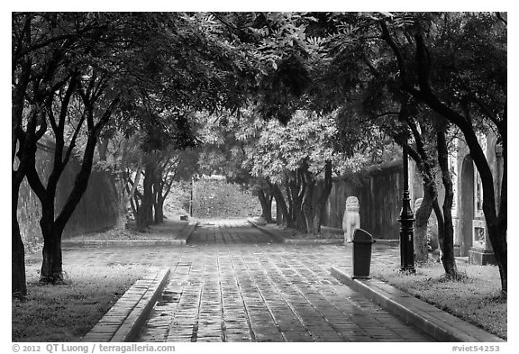 Tree-covered pathway, imperial citadel. Hue, Vietnam (black and white)