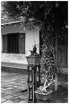 Bonsai trees and monastic buildings, Thien Mu pagoda. Hue, Vietnam (black and white)