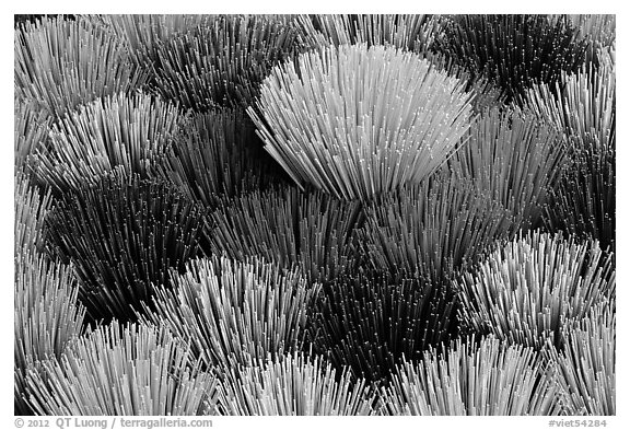 Mosaic of incense sticks. Hue, Vietnam (black and white)