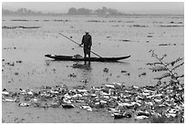 Duck herder, Thanh Toan. Hue, Vietnam (black and white)