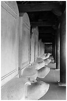 Row of stone turtles with stele backs, Temple of the Litterature. Hanoi, Vietnam ( black and white)