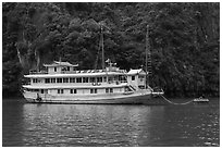 Tour boat painted white. Halong Bay, Vietnam ( black and white)