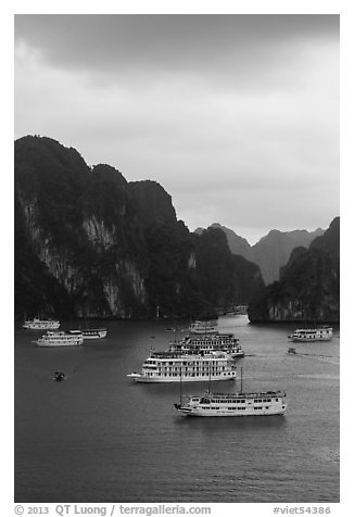 Elevated view of white tour boats and islets. Halong Bay, Vietnam (black and white)