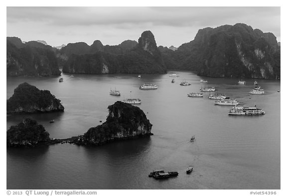 White tour boats and limestone islands covered in tropical vegetation. Halong Bay, Vietnam