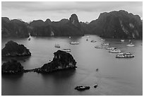 White tour boats and limestone islands covered in tropical vegetation. Halong Bay, Vietnam ( black and white)