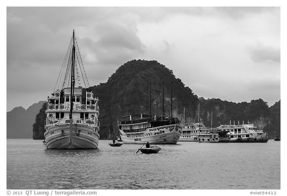 White tour boats. Halong Bay, Vietnam (black and white)