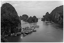 Tour boats anchored at base of island. Halong Bay, Vietnam ( black and white)