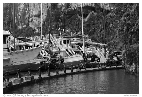Tour boats at pier. Halong Bay, Vietnam (black and white)