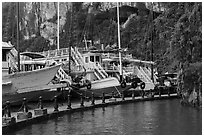 Tour boats at pier. Halong Bay, Vietnam ( black and white)