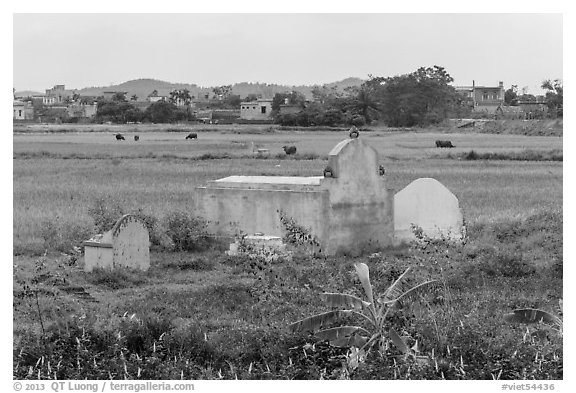 Tombs set amongst field. Vietnam (black and white)