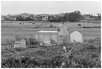 Tombs set amongst field. Vietnam (black and white)