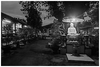 Buddha and banyan tree at dusk, Phung Son Pagoda, district 11. Ho Chi Minh City, Vietnam ( black and white)