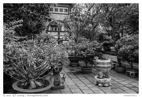 Tran Hung Dao temple gardens. Ho Chi Minh City, Vietnam (black and white)
