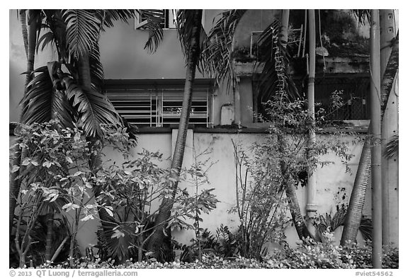 Trees and walls, Tran Hung Dao temple. Ho Chi Minh City, Vietnam (black and white)