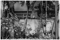 Trees and walls, Tran Hung Dao temple. Ho Chi Minh City, Vietnam ( black and white)