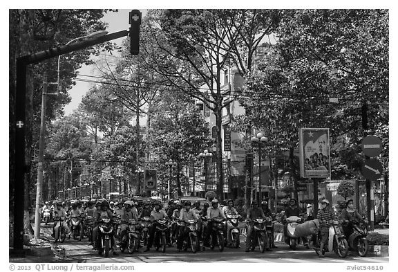 Motorcyclists on tree-lined street, district 5. Ho Chi Minh City, Vietnam (black and white)