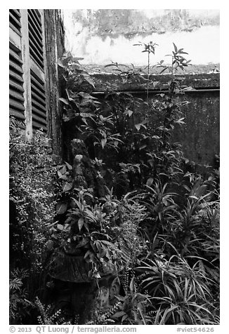 Lush balcony corner. Ho Chi Minh City, Vietnam (black and white)