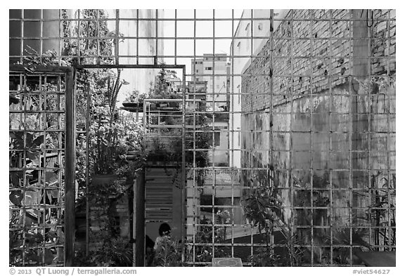 Rooftop garden. Ho Chi Minh City, Vietnam (black and white)