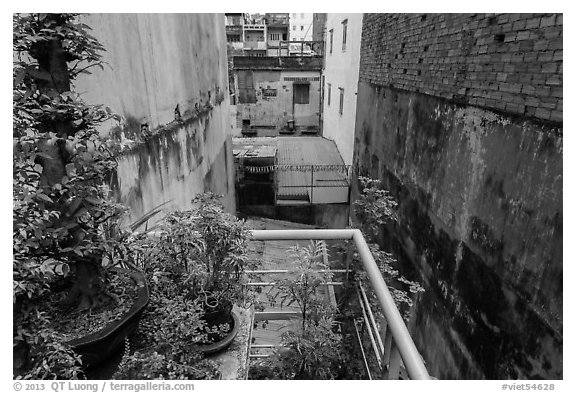 Potted plants on balcony garden. Ho Chi Minh City, Vietnam