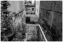 Potted plants on balcony garden. Ho Chi Minh City, Vietnam (black and white)