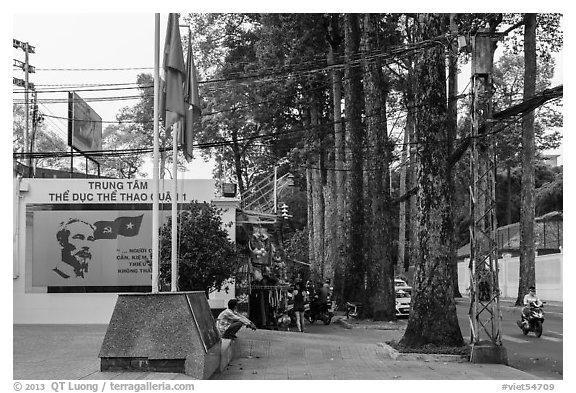 Sidewalk and tall trees next to Van Hoa Park. Ho Chi Minh City, Vietnam