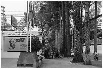 Sidewalk and tall trees next to Van Hoa Park. Ho Chi Minh City, Vietnam (black and white)