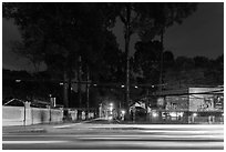 Traffic light trails and tall trees next to Van Hoa Park. Ho Chi Minh City, Vietnam ( black and white)