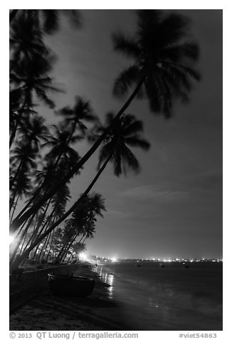 Beach at night with palm trees and coracle boat. Mui Ne, Vietnam