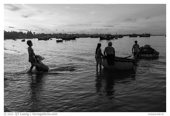 Fishermen using coracle boats to transport cargo at dawn. Mui Ne, Vietnam (black and white)