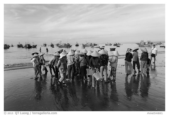 Women gather on beach to collect freshly caught fish. Mui Ne, Vietnam