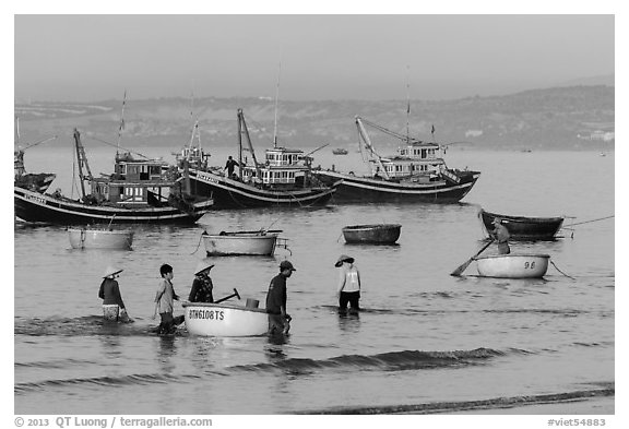 Fishermen use coracle boats to bring back catch from fishing boats. Mui Ne, Vietnam