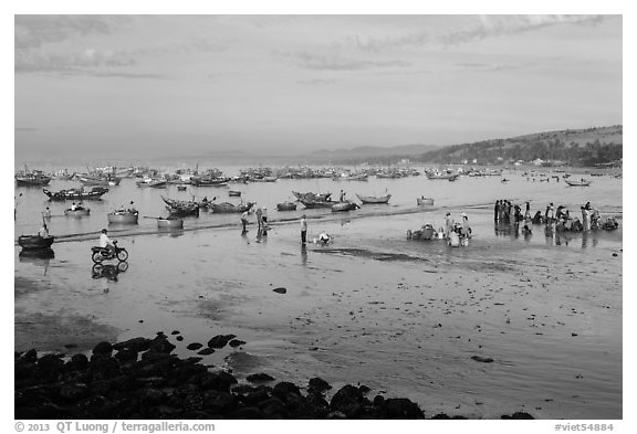 Beach and fishing fleet, early morning. Mui Ne, Vietnam