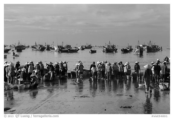 Crowds gather on wet beach for freshly caught seafood. Mui Ne, Vietnam (black and white)