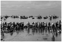 Crowds gather on wet beach for freshly caught seafood. Mui Ne, Vietnam ( black and white)