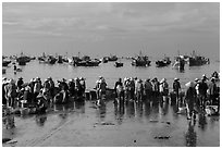 Crowds gather on wet beach for freshly caught seafood. Mui Ne, Vietnam (black and white)