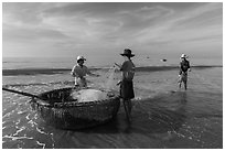 Fishermen folding fishing net into coracle boat. Mui Ne, Vietnam (black and white)