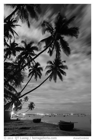 Palm-tree lined beach and coracle boats at night. Mui Ne, Vietnam (black and white)