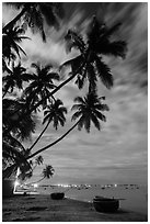 Palm-tree lined beach and coracle boats at night. Mui Ne, Vietnam ( black and white)