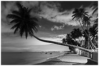 Beachfront resort at night. Mui Ne, Vietnam ( black and white)