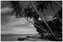 Palm-tree lined beach at night. Mui Ne, Vietnam (black and white)