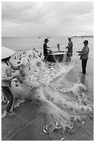 Woman folding fishing net. Mui Ne, Vietnam (black and white)