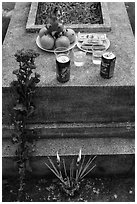 Grave with offerings of incense, flowers, drinks, fruit, and fake money. Ben Tre, Vietnam (black and white)