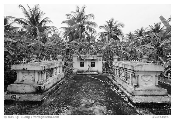 Tombs amidst grove of banana trees. Ben Tre, Vietnam (black and white)