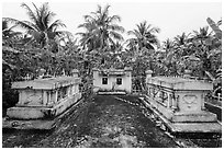 Tombs amidst grove of banana trees. Ben Tre, Vietnam (black and white)